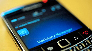 Blackberry Dominican Republic V01