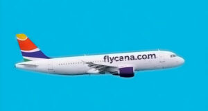 Plane Flycana 01