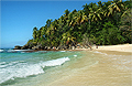 Beach Dominican Republic V31