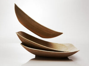 Dishes Verterra 01