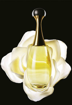 Jadore Perfume Dior 1