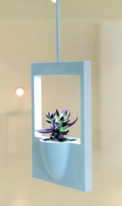 Polaroid Flowerpot 02