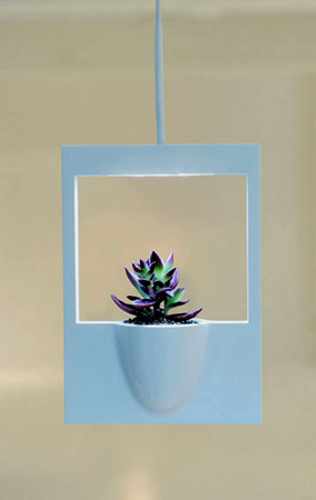 Polaroid Flowerpot 03