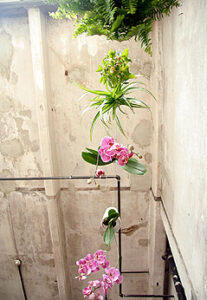 Sky Planter Patrick Morris 3