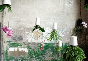 Sky Planter Patrick Morris 4