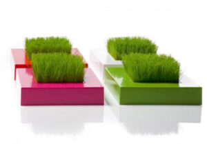 Square Root Grass 01