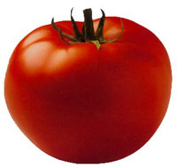 Tomato 02